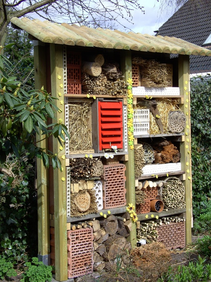 Insektenhaus